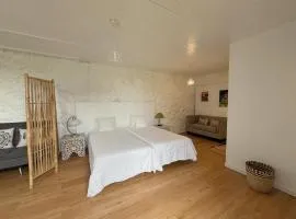 Casa do Cacto - Studio Flat