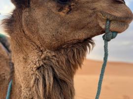 Camels house apartment, Hotel in Hassilabied