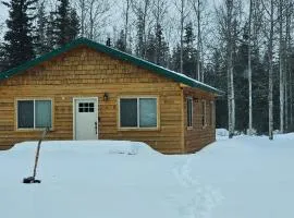 Peaceful Cabin Minutes from Soldotna and the Kenai River