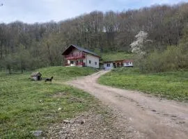 Liziera Cabin Malaia