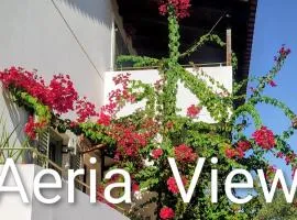 Aeria View