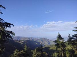The peace holiday home stay, hotel en Chail