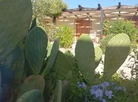La Corte dell’Isola