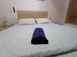 PARRA HOME y Garaje, Algemesi Home