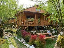 Wilgano, hotel en Rvaši