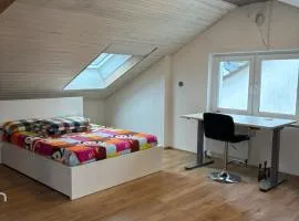 Metzingen Weinberg Ferienwohnung