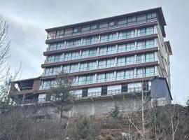 Hotel The Bliss Kufri, viešbutis mieste Kufris
