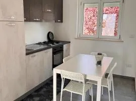 Immobiliare La Rosetana - Battello sul Mare