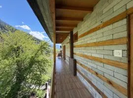 Mountain Peace , Manali