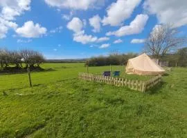Maisie's Campsite