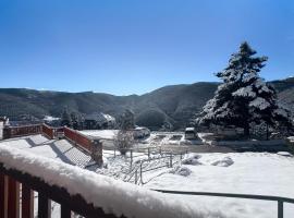 Puigllançada I, hotel u gradu La Molina