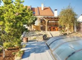 Stylový dům u vinic s bazénem