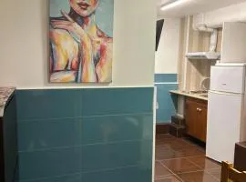 coliving estudio 007 en sants badal