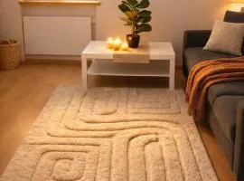 T2 cosy haut de gamme avec suite hyper centre