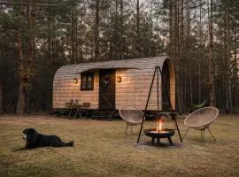 Drewniany domek w lesie z alpakami