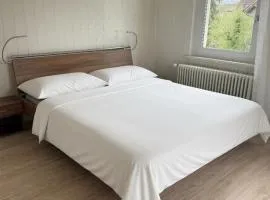 Charmantes Apartment bei Aarau