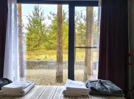Лісове SPA