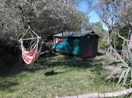 Cabane sous les oliviers