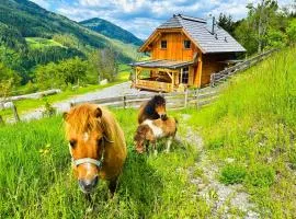 Lärchenhaus ,,Unterer Brodl"