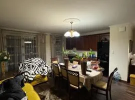 Apartament 65 metrów wyposażony Siedlce