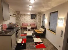 Ruhiges Apartment mit Garten & Terrasse, Parkplatz