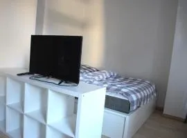 Elise 7-Zimmer-Apartment im Zentrum von Chemnitz