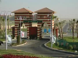 Amer group