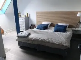 Trégouet 8 - Chambre numéro 3