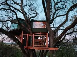 B&B La Cabane Insolite