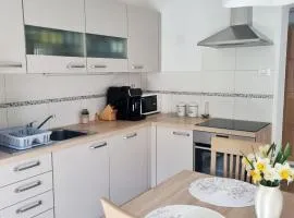 Apartment Drejca