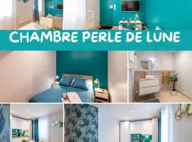 La perle Lune -chambre en colocation- centre - ville - parking