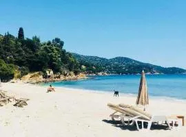 Escapade au soleil - T2 - Piscine - Clim