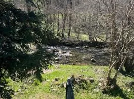 Agréable studio en bord de rivière