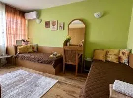 Radetsky Apartment with FREE Private Parking