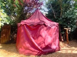 Le Camp du Chevalier, hébergement insolite près du zoo de Beauval et des châteaux de la Loire