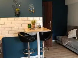 Cozy MiniApartment