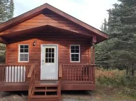 Alaska Summers Lodge Cabin 1-Near Mouth of Kasilof River
