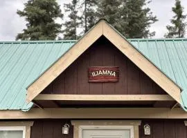 Kasilof King Cabins - Iliamna Cabin
