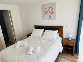 Departamento Temuco Centro