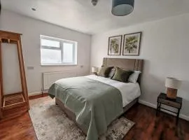 The Forest- Nightwood