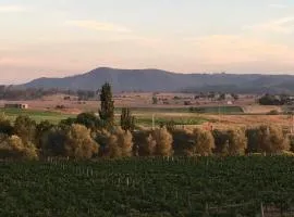 Tranquil Vale Vineyard