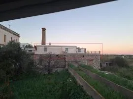 Olive Mill Complex