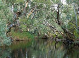 Yass में, होटल Zamenhof River Cabin - Peaceful Farm Escape - Pets Welcome