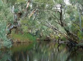 Zamenhof River Cabin - Peaceful Farm Escape - Pets Welcome