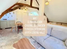 L'Ecrin Saint Denis, petite au centre d'Amboise!