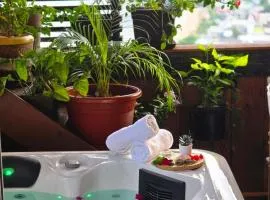 LE BELSOL, Confort, Eau 24h 7j Option Spa