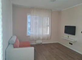 for rent apartment with a bedroom