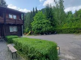 Chata u Penzionu Svojanov