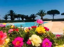 LittleWave- Studio -Terrasse