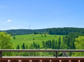SONNENSEITE Schonach - Private Infrarot-Sauna - ruhige Schwarzwald-Ferienwohnung nahe Triberg - 2 Schlafzimmer auf 2 Etagen - Balkon mit Weitblick - bis 4 Gäste - Parkplatz, hotel di Schonach